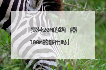 宽带20M的路由器300M的够用吗
