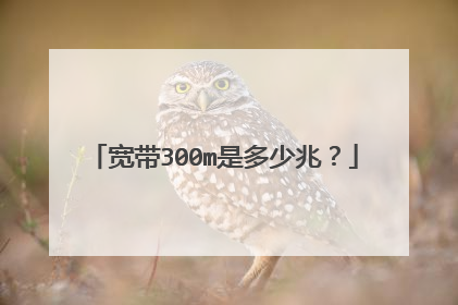 宽带300m是多少兆？