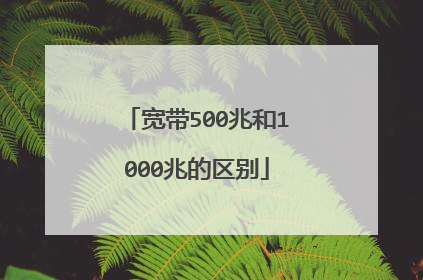 宽带500兆和1000兆的区别