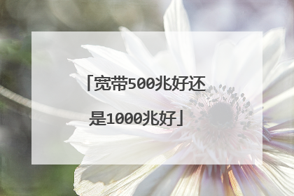 宽带500兆好还是1000兆好