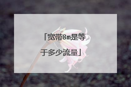 宽带8m是等于多少流量