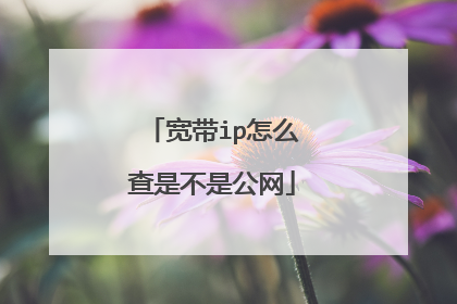 宽带ip怎么查是不是公网