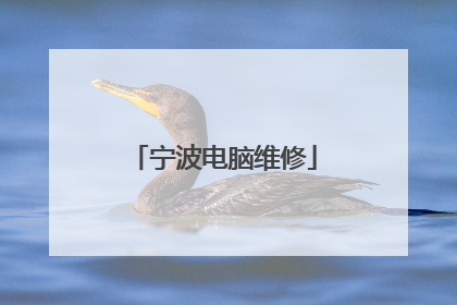 宁波电脑维修