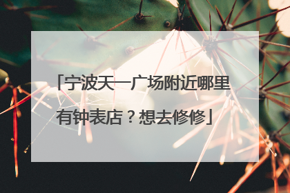 宁波天一广场附近哪里有钟表店?想去修修