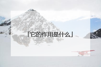 它的作用是什么