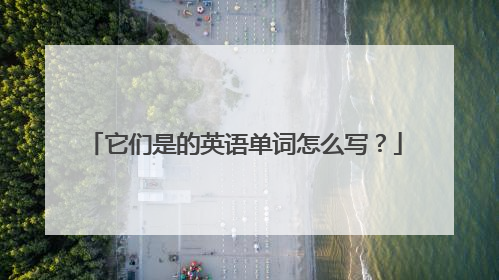 它们是的英语单词怎么写?