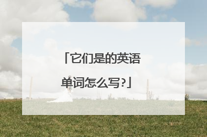 它们是的英语单词怎么写?