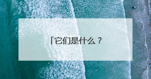 它们是什么？用英语怎么说