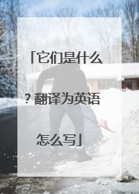 它们是什么？翻译为英语怎么写