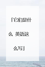 它们是什么 英语这么写