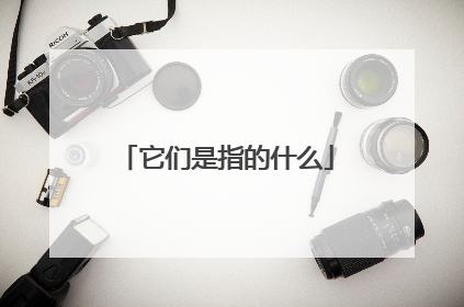 它们是指的什么