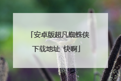 安卓版超凡蜘蛛侠下载地址 快啊