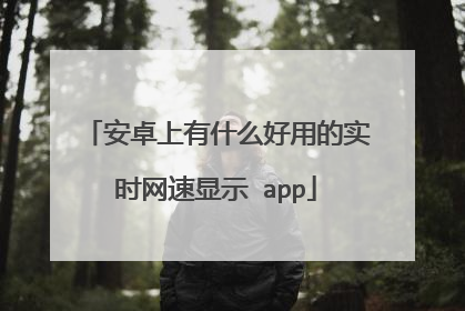 安卓上有什么好用的实时网速显示 app