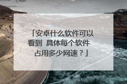 安卓什么软件可以看到 具体每个软件 占用多少网速?