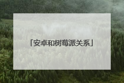 安卓和树莓派关系