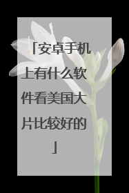 安卓手机上有什么软件看美国大片比较好的