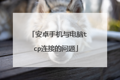 安卓手机与电脑tcp连接的问题