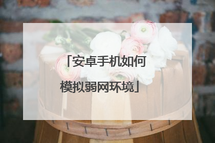 安卓手机如何模拟弱网环境