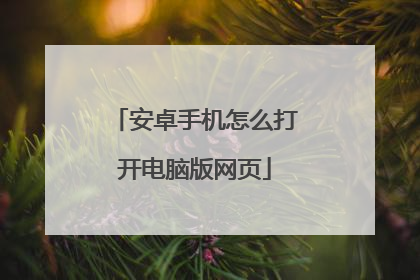 安卓手机怎么打开电脑版网页