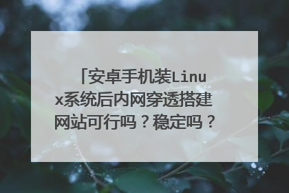安卓手机装Linux系统后内网穿透搭建网站可行吗？稳定吗？费用怎么样？