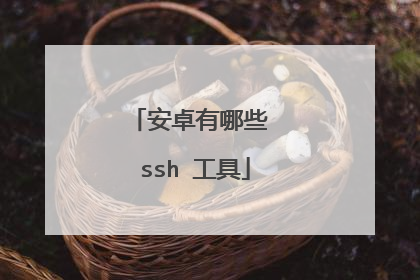 安卓有哪些 ssh 工具