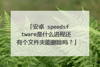 安卓 speedsftware是什么进程还有个文件夹能删除吗？