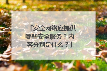 安全网络应提供哪些安全服务?内容分别是什么?