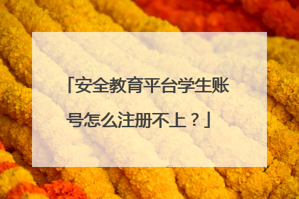 安全教育平台学生账号怎么注册不上?