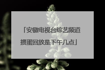 安徽电视台综艺频道掼蛋回放是下午几点