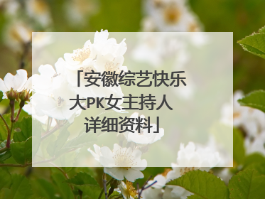 安徽综艺快乐大PK女主持人详细资料