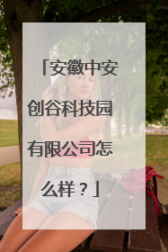 安徽中安创谷科技园有限公司怎么样?