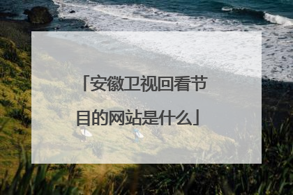 安徽卫视回看节目的网站是什么
