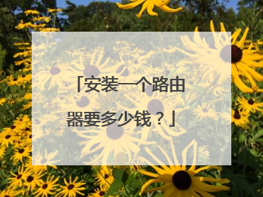 安装一个路由器要多少钱？