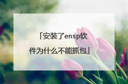 安装了ensp软件为什么不能抓包