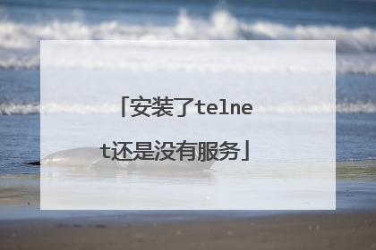 安装了telnet还是没有服务