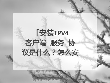 安装IPV4 客户端 服务 协议是什么？怎么安装？请给详细答案，谢谢。