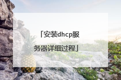 安装dhcp服务器详细过程