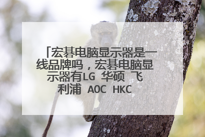 宏碁电脑显示器是一线品牌吗，宏碁电脑显示器有LG 华硕 飞利浦 AOC HKC 联想显示器好吗