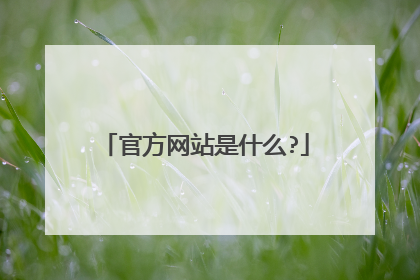 官方网站是什么?