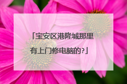 宝安区港隆城那里有上门修电脑的?