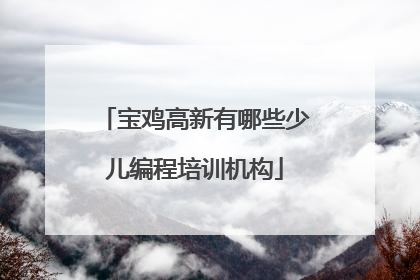 宝鸡高新有哪些少儿编程培训机构