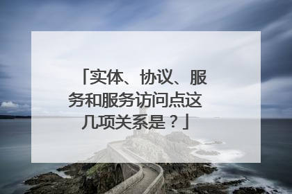 实体、协议、服务和服务访问点这几项关系是?