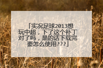 实况足球2013想玩中超，下了这个补丁对了吗，是的话下载完要怎么使用???