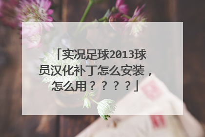 实况足球2013球员汉化补丁怎么安装，怎么用？？？？