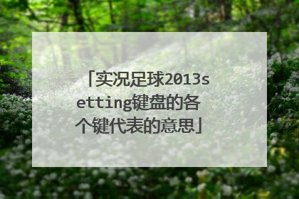 实况足球2013setting键盘的各个键代表的意思