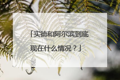 实德和阿尔滨到底现在什么情况?