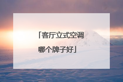 客厅立式空调哪个牌子好