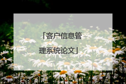 客户信息管理系统论文