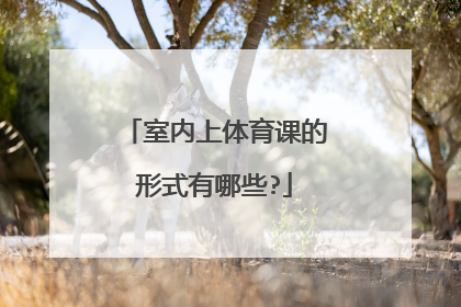 室内上体育课的形式有哪些?