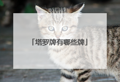 塔罗牌有哪些牌